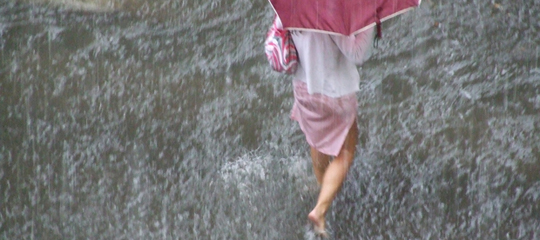 gota_n22.jpg