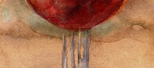 comemos_540x240.jpg