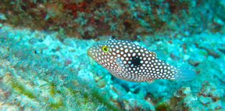 co_540x240.jpg