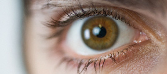 ojo_540x240.jpg