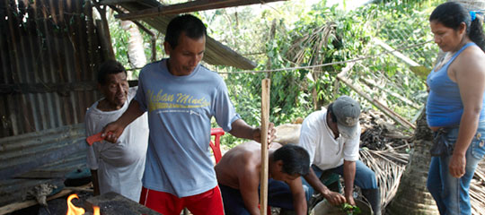 mambe_540x240.jpg