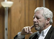 division-azul-jorge-m-reverte.jpg