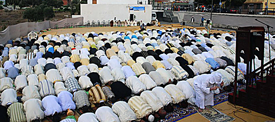musala_540.jpg