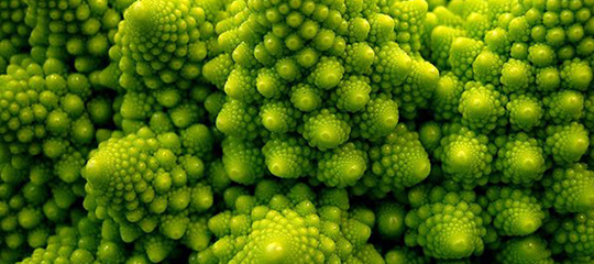 fractal_10_540.jpg