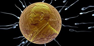 Nobel_540.jpg