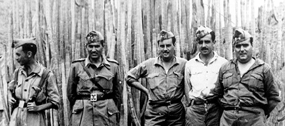 papa-en-la-guerra_540.jpg