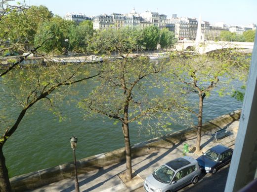 Seine view from Quai de Bethune apartment