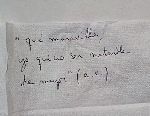 Quiero ser matarile de mayor
